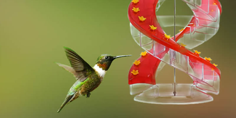 Helix Hummingbird Feeder